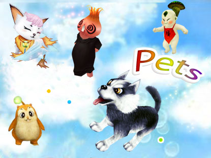 Cute pet, pretty pet, funny pet and special pet…you will find the one you want!